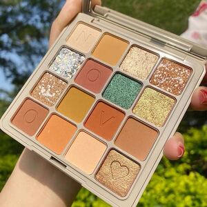 Novo eyeshadow 16色 アイシャドウパレット#01