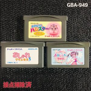 GBA -949 かわいいハムスター おしゃれプリンセス3 お花屋さんになろう