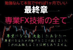 FXで勝ちたい！ 専業技術を身に付ける