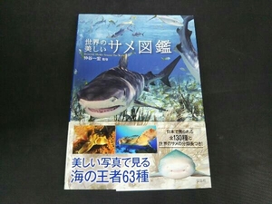 ヤフオク 世界サメ図鑑 本 雑誌 の落札相場 落札価格 ヤフオク 世界サメ図鑑 本 雑誌 の落札相場 落札価格