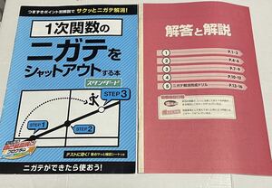 進研ゼミ　１次関数のニガテをシャットアウトする本　スタンダード　テストに効く　要点サッと確認シートつき　記入済み　夏休みの宿題