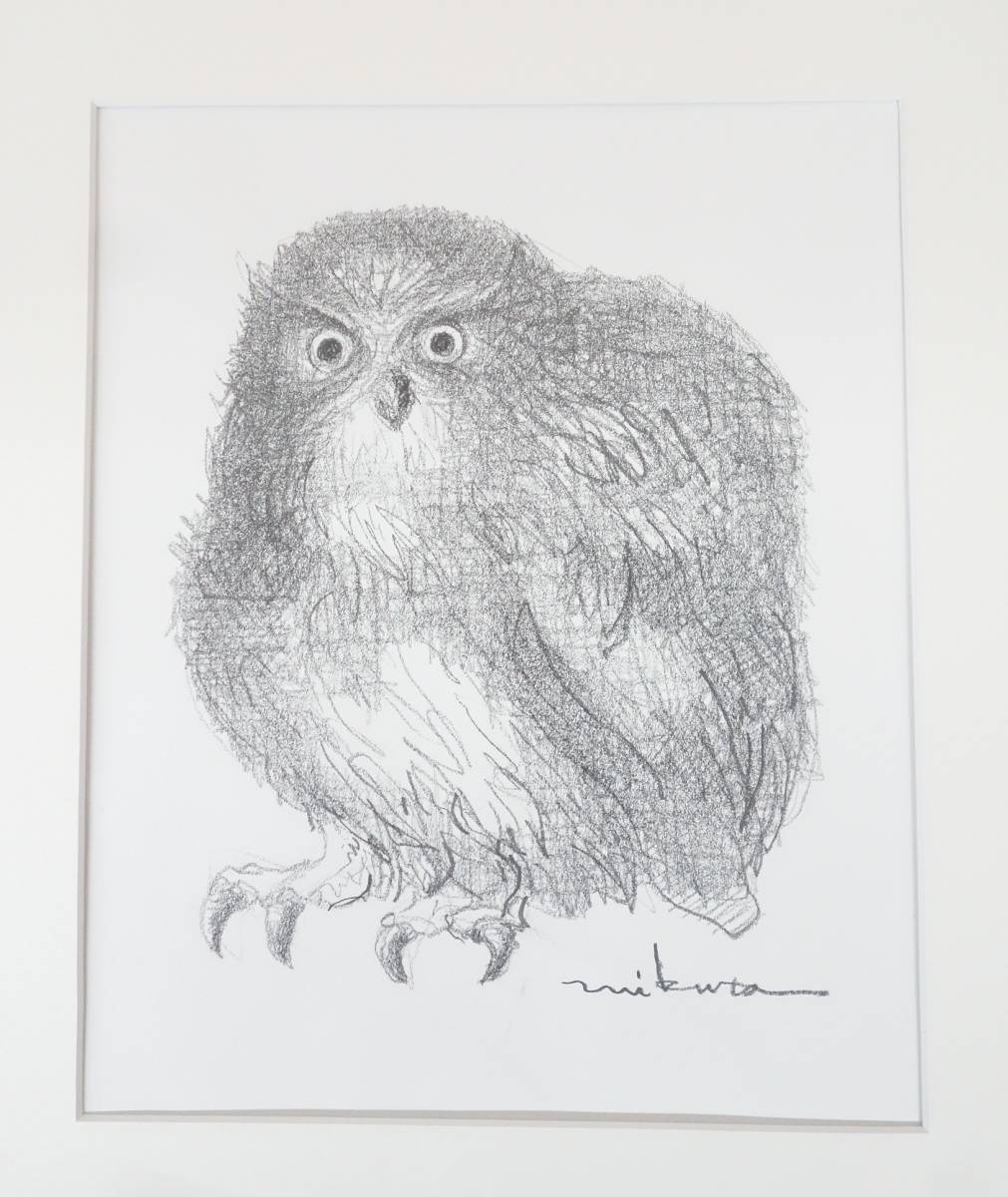 Arte moderno Arte Arte *OWL Búho Búho *Dibujo a lápiz Madera enmarcado *Autor desconocido Firmado*Búho Oreja búho Pintura de la naturaleza, obra de arte, cuadro, dibujo a lápiz, dibujo al carbón