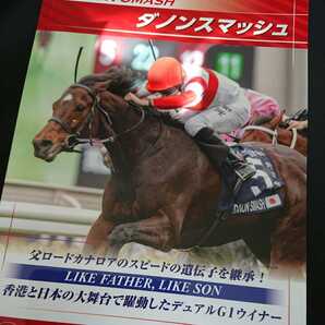 ダノンスマッシュ 種牡馬パンフレット ブリーダーズスタリオンステーション 2022 新種牡馬