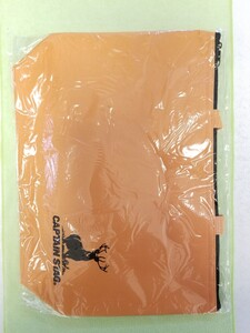 新品、未使用、未開封 キャプテンスタッグ CAPTAIN STAG 保冷バッグ エコバッグ