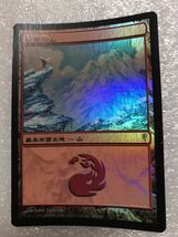 MTG FOIL 日本語版 冠雪の山 コールドスナップ 土地_画像1