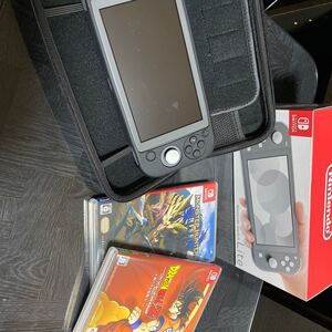 Switch Lite