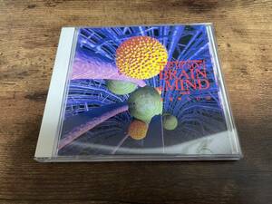 CD「NHKスペシャル 驚異の小宇宙 人体II脳と心 サウンドトラックVol.2」久石譲●