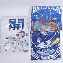 【送料無料】横浜DeNAベイスターズ/横浜ベイスターズ/大洋ホエールズ/グッズ/計21点/セット/キーホルダー/タオル/リストバンド/ポーチ/BBM_画像2