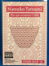 トレーディングカード HIT'S 【辰巳奈都子 ピンスポ ビキニカード18 （10/42）】_画像2