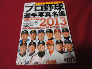 【プロ野球】2013プロ野球選手写真名鑑　日刊スポーツ出版社