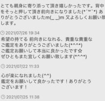 タロット占い　占い　結婚　恋愛　仕事　人間関係　金運　不倫　復縁　転職　運勢　離婚　霊視　適職　鑑定　　送料無料　開運　霊感_画像7