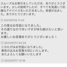 タロット占い　占い　結婚　恋愛　仕事　人間関係　金運　不倫　復縁　転職　運勢　離婚　霊視　適職　鑑定　　送料無料　開運　霊感_画像5