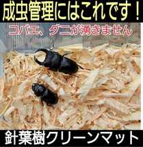 成虫管理にはこれが一番です！爽やかな香りの針葉樹クリーンマット☆生体が目立ちケース内が明るくなります！コバエやダニもわきません10L_画像1