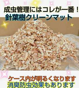 成虫管理にはこれが一番です！爽やかな香りの針葉樹クリーンマット☆生体が目立ちケース内が明るくなる！コバエやダニもわきません☆20L