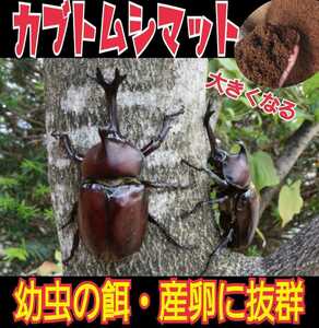 飼育のサポート致します！カブトムシ飼育はコレ【改良版】雑虫混入99％なし！コバエも湧かない！ひらたけ発酵マット☆幼虫の餌・産卵に抜群