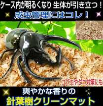 成虫管理にはこれが一番です！爽やかな香りの針葉樹クリーンマット☆生体が目立ちケース内が明るくなる！コバエやダニもわきません　20L_画像1