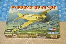 プラモデル ホビーボス HOBBY BOSS 1/72 P-40B/C Hawk -81 飛行機 戦闘機 未組み立て 古い 昔の 海外プラモ_画像1