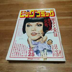 ビッグコミック 1985年 昭和60年 3/25 ホテル カムイ外伝 ゴルゴ13 石森章太郎 白土三平 さいとうたかを 手塚治虫