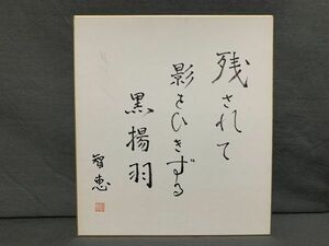 【色紙画/色紙書】 肉筆　智慧：作　『黒揚羽』１　詩/短歌/俳句/情景画　パケット発送 　L1229O　