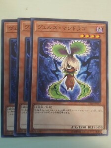 遊戯王 ヴェルズ・マンドラゴ 3枚 数量2