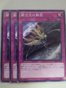 遊戯王 闇次元の解放 三枚 数量5