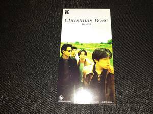 F0670【CD】8cm● Khasi カーシー / Christmas Rose