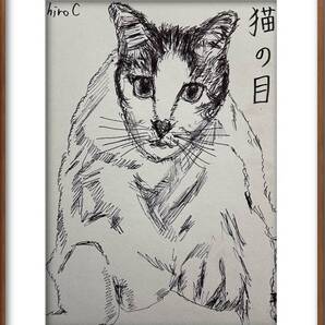 絵描きhiro C「猫の目」