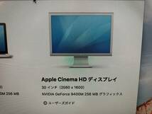 Apple Cinema HD Display 30インチ ワイドディスプレイ モニター A1083 動作品_画像7