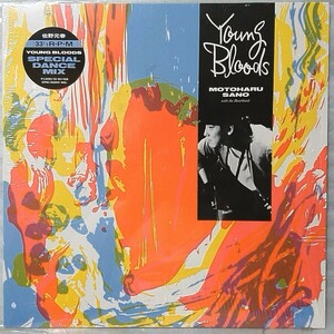  Sano Motoharu YOUNG BLOODS * 1985 year Release 12 -inch shrink attaching * analogue record [5460RP