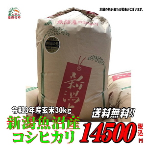 令和３年産 新潟魚沼産 コシヒカリ 30kg うまい米 米専門 みのりや（玄米）　 ポイント消化 送料無料