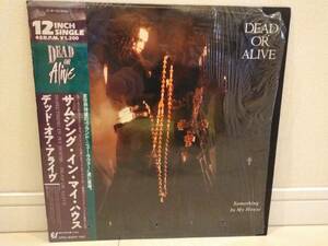 □DEAD OR ALIVE / SOMETHING IN MY HOUSE アナログ ※