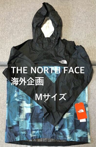 新品 希少 ノースフェイス the North Face アメリカ限定モデル