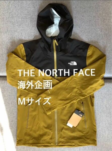 新品 希少 ノースフェイス the North Face アメリカ限定モデル