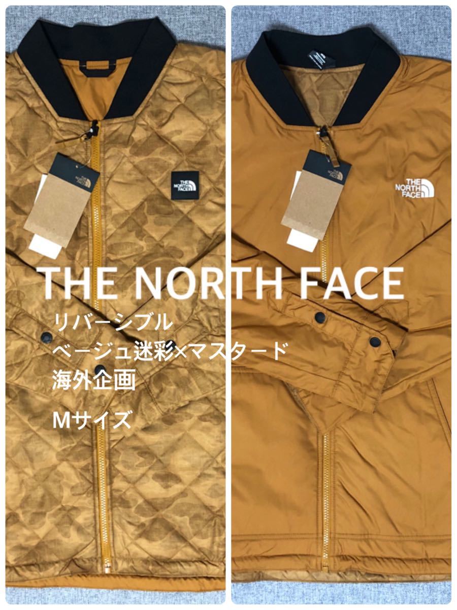 送料無料 THE NORTH FACE バックパック 海外限定 20L カモフラ 新品未