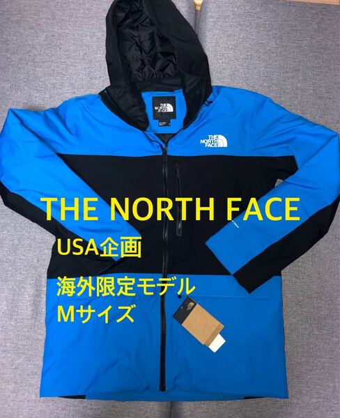 新品 希少 ノースフェイス the North Face アメリカ限定モデル