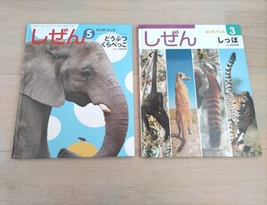 キンダーブック本2冊☆どうぶつくらべっこ しっぽ