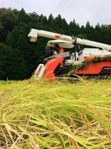 令和3年産【丹波産】コシヒカリ 玄米 -特別栽培米- “星ひかり” 900g_画像9