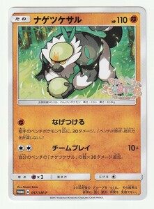 ヤフオク 配布ポケモンの中古品 新品 未使用品一覧