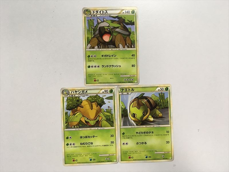 立体ポケモン図鑑 ナエトル ハヤシガメ ドダイトスの進化セット Zkgmu Kz