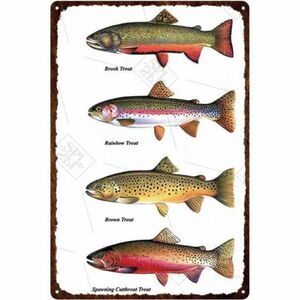 A2971 metal autograph made of metal tin plate signboard poster fish sea fishing fishing gear fishing fish . bus illustrated reference book outdoor . shop 09