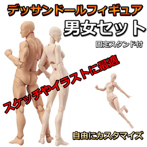 デッサン ドール フィギュア 人形 男女1体ずつ 人形 イラスト 漫画 人気のデッサンドール デッサンフィギュア 人スケッチやイラスト描く