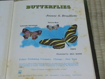 中古本　英語書籍　Jeanne S. Brouillette/著　BUTTERFLIES_画像4