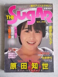 ザ・シュガー/The SUGAR 1985年2月号 富田靖子