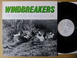 Windbreakers 甘酸 パワーポップ Make A Fool Out Of Me 収録 The Disciples Of Agriculture LP インディーポップ Any Monkey With- Termin