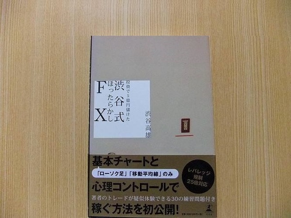 投資で５億円儲けた渋谷式ほったらかしＦＸ