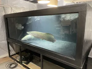 ヤフオク 水槽 引き取り 180cm 水槽 の落札相場 落札価格 ヤフオク 水槽 引き取り 180cm 水槽 の落札相場 落札価格