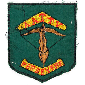 アメリカ軍 ベトナム戦争 ビンテージ パッチ Vietnam War US Military Patch ワッペン Wappen