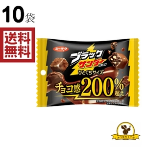 【販路限定品】有楽製菓 ブラックサンダー ひとくちサイズ チョコ感 200%超え 55gx10袋