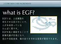 【光沢美肌!!】高濃度ビタミンC美容液　EGFペプチド美容液　シミケア　美白ケア　くすみ改善　シワ改善　エイジングケア　透明美肌_画像8