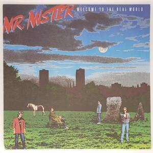 良盤屋 P-2596◆LP◆ドイツ 輸入盤 Pop Rock ミスター　 Mr. Mister Welcome To The Real World 1989　 まとめて送料480